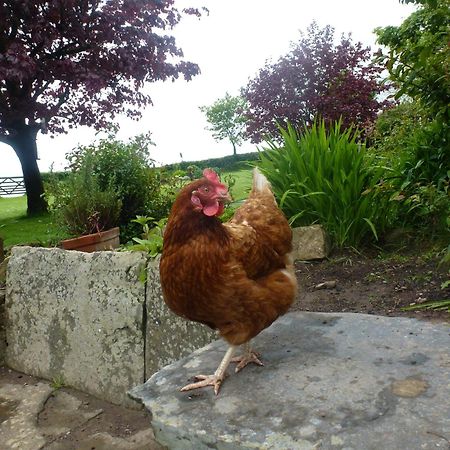 Kidwelly Farmhouse B&B ภายนอก รูปภาพ